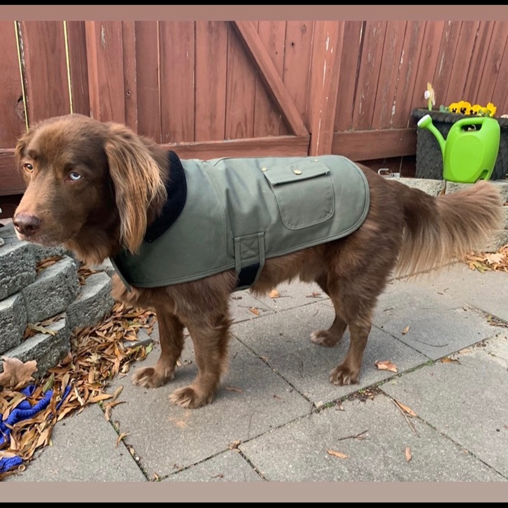 Carhartt Olive Green Chore Coat